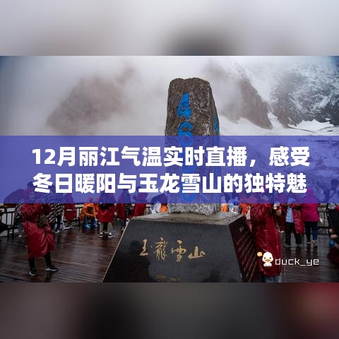 雍容典雅 第3页