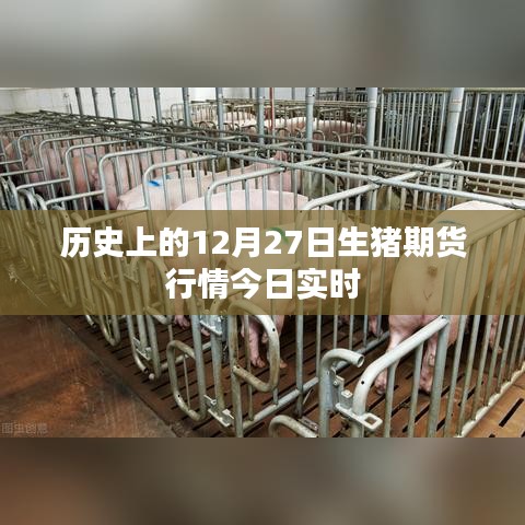 历史上的12月27日生猪期货行情最新实时动态