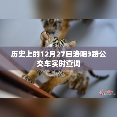 第1531页