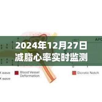 心率监测助力减脂，迈向健康生活的一步
