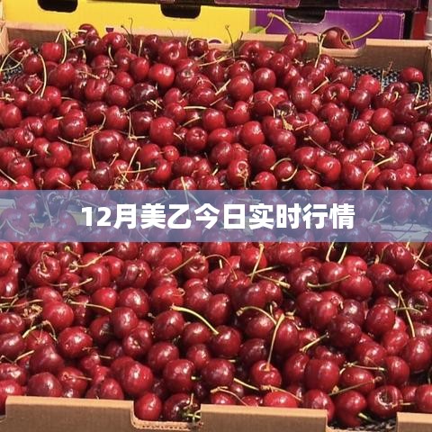 美乙联赛最新实时动态分析