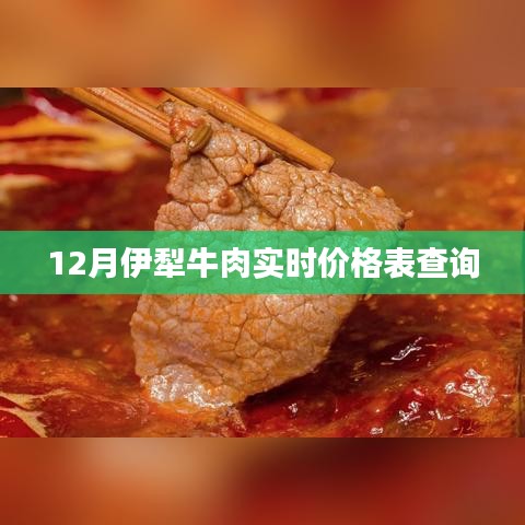 伊犁牛肉最新实时价格查询表