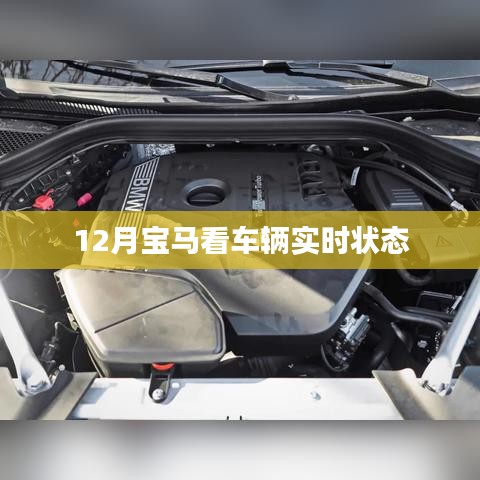 成功案例 第252页