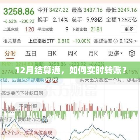 12月结算通实时转账操作指南