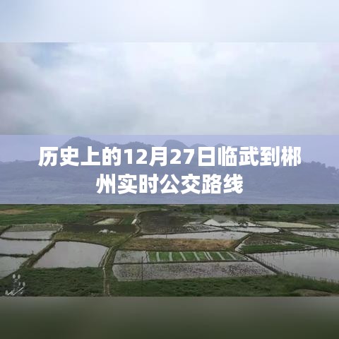 种植技术 第250页