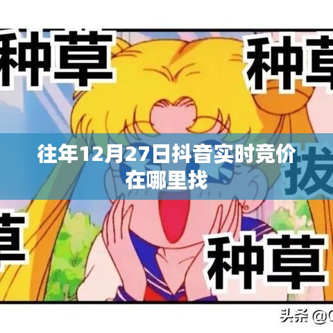 抖音往年12月27日实时竞价查询指南