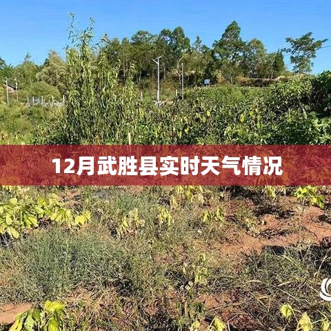 武胜县12月实时天气报告