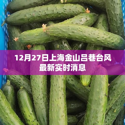 上海金山吕巷台风最新实时消息更新
