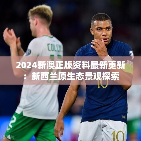 2024新澳正版资料最新更新：新西兰原生态景观探索