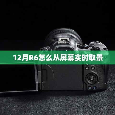 R6相机屏幕实时取景方法解析