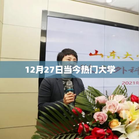 热门大学盘点，最新动态与趋势分析（12月27日）
