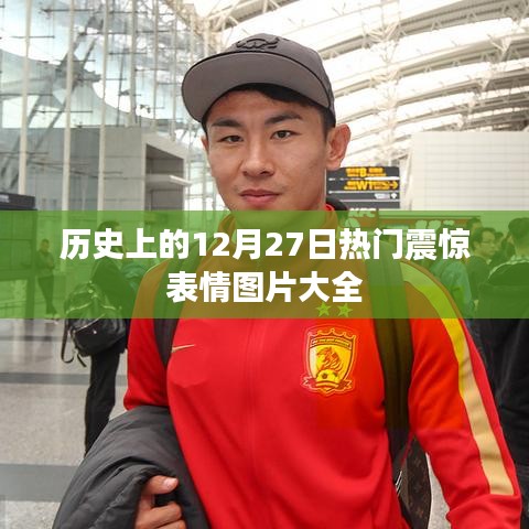 飞禽走兽 第4页