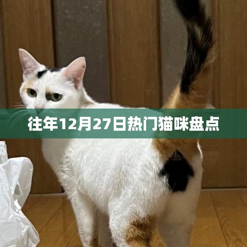 年终猫咪盘点，历年十二月二十七日最受欢迎的喵星人风采