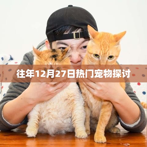 往年年末宠物热点解析