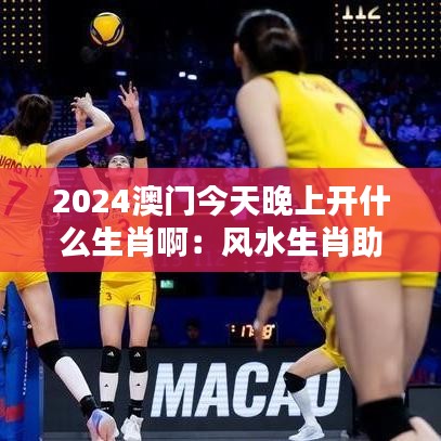 2024澳门今天晚上开什么生肖啊：风水生肖助兴魅力之夜
