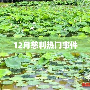 慈利县十二月热点事件回顾