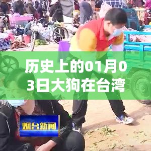 台湾历史上的大狗事件，一月三日回顾