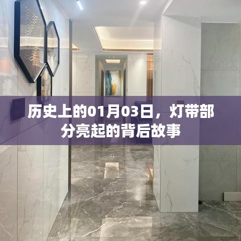 奔走如飞 第3页
