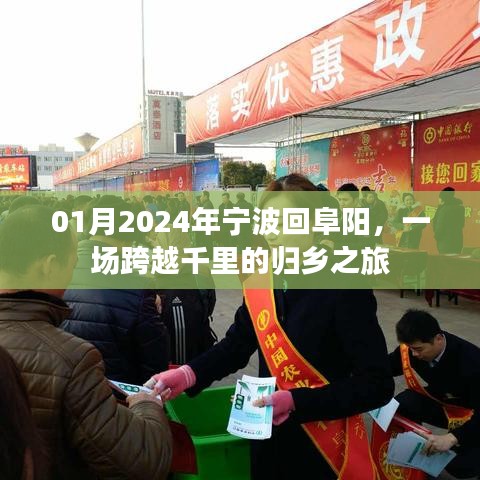 跨越千里的归乡之旅，宁波至阜阳之旅