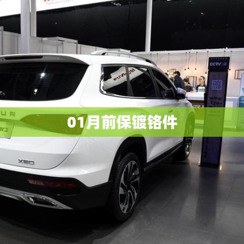 采椽不斫 第3页