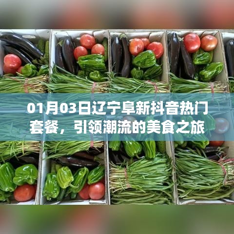 辽宁阜新抖音热门套餐，潮流美食之旅开启