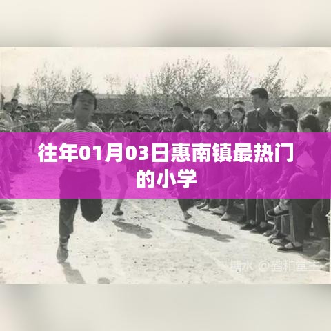 惠南镇一月三日最火小学盘点