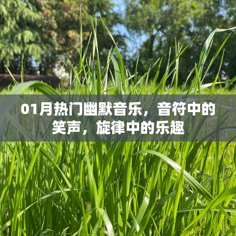 热门幽默音乐，旋律中的笑声与乐趣