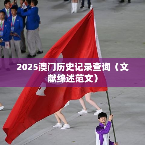 2025澳门历史记录查询（文献综述范文）