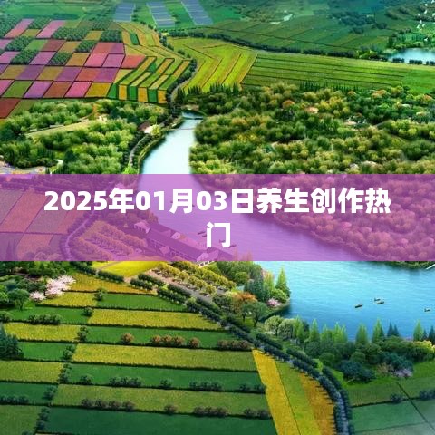 养生创作热门趋势展望，2025年1月3日聚焦