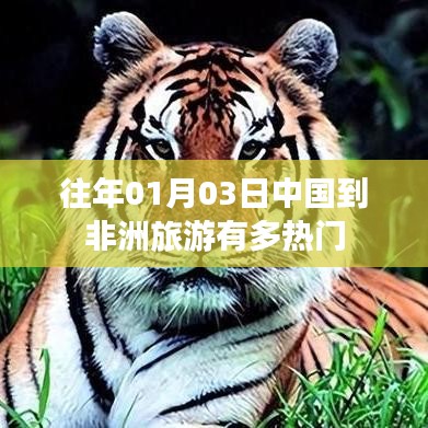 中国到非洲旅游热度分析，历年一月初的旅游热潮