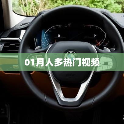 热门视频一月人气爆棚