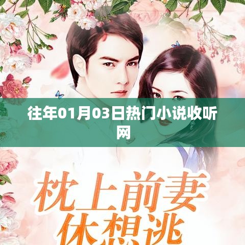 新年首周热门小说收听网盘点