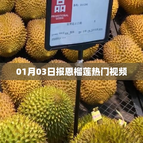 报恩榴莲热门视频，一月三日的惊喜！