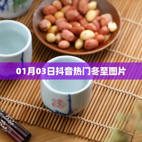 产品中心 第219页