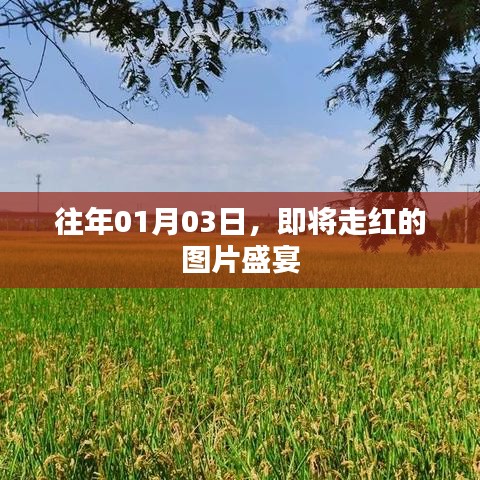 反朴归真 第2页