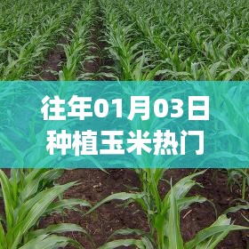 一飞冲天