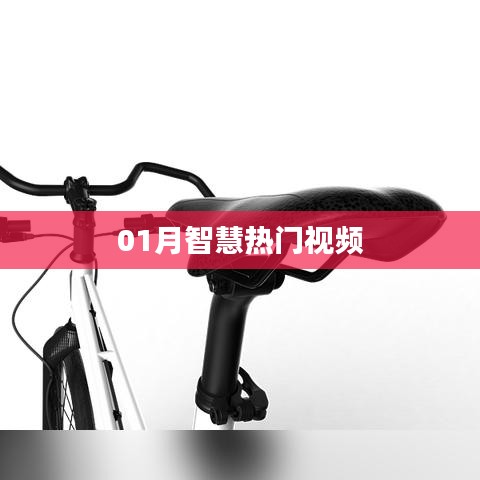 智慧热门视频盘点（一月精选）
