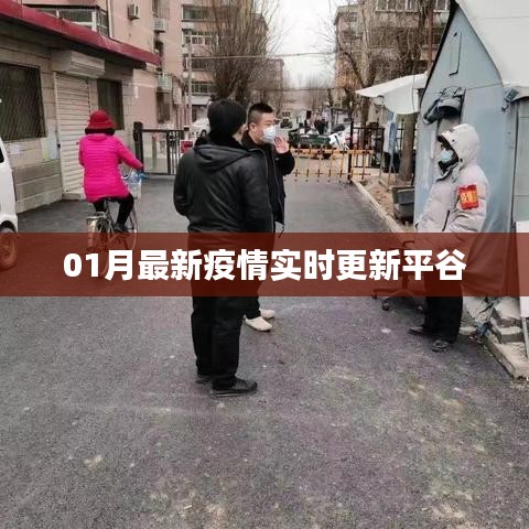 犯而不校 第3页