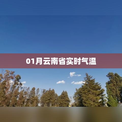 夭桃秾李 第3页