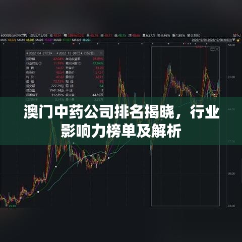 澳门中药公司排名揭晓，行业影响力榜单及解析