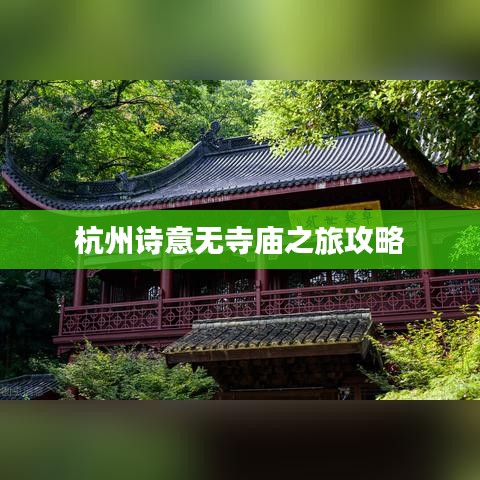 越鸟南栖 第3页