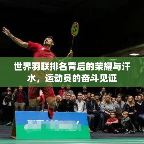 世界羽联排名背后的荣耀与汗水，运动员的奋斗见证