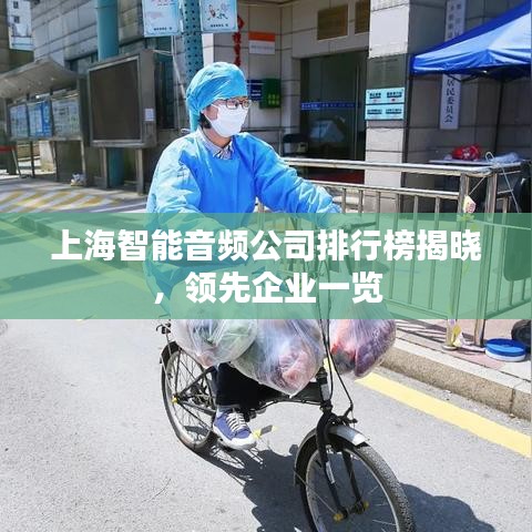 上海智能音频公司排行榜揭晓，领先企业一览