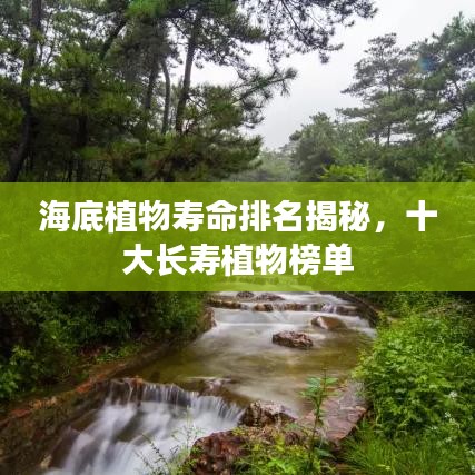 海底植物寿命排名揭秘，十大长寿植物榜单