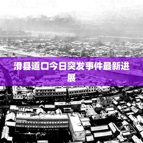 滑县道口今日突发事件最新进展