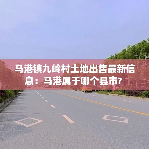 马港镇九岭村土地出售最新信息：马港属于哪个县市? 