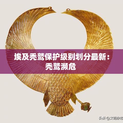 铁石心肠 第3页