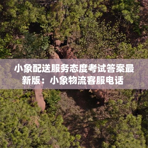 小象配送服务态度考试答案最新版：小象物流客服电话 