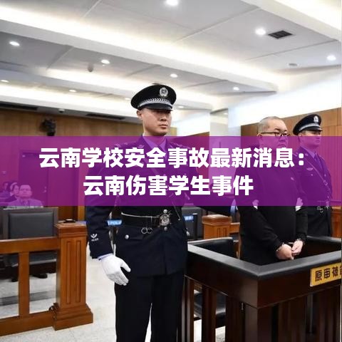 云南学校安全事故最新消息：云南伤害学生事件 