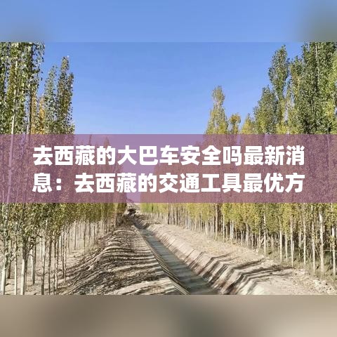 去西藏的大巴车安全吗最新消息：去西藏的交通工具最优方案 